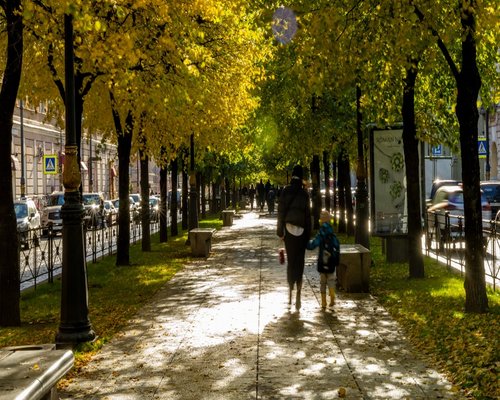 An individual walking calmly on a pedestrian sidewalk near a park